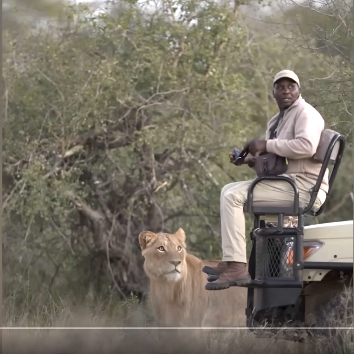 Photo safari with travelers in a vehicle